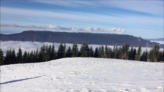 Savoie'r être vacher