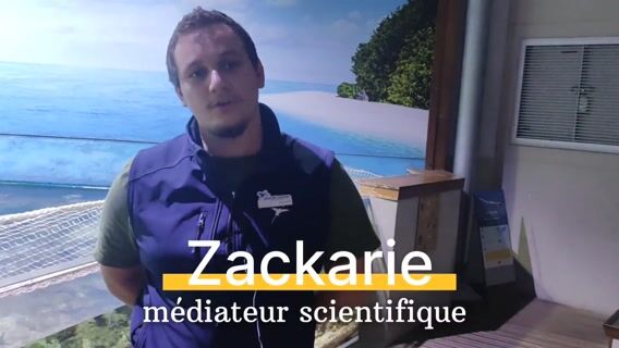 Miroir diapré de l'océan