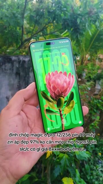 Honor Magic 6 Pro 5G 12/246Gb pin 99 zin áp. Mua bán Điện thoại tại Thành phố Mỹ Tho Tiền Giang được đăng bởi LH Max Dilys hình 1