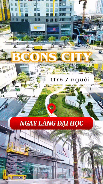 Cho thuê Căn hộ Chung cư Bcons City Thành phố Dĩ An Bình Dương diện tích 58 m² giá 5,5 triệu/tháng
