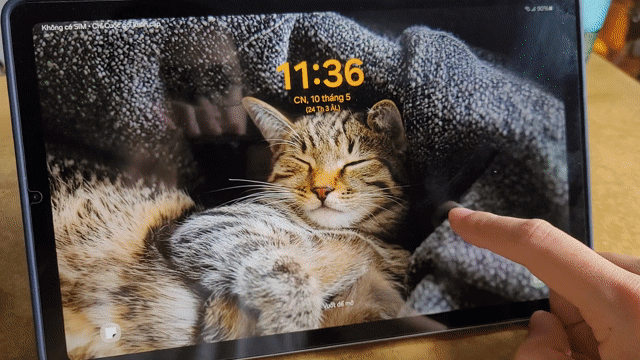 Samsung Tab S6 Lite 2024 (P625) 99.9%. Mua bán Máy tính bảng tại Quận Hoàng Mai Hà Nội được đăng bởi Bùi Anh hình 1