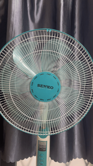 Quạt đứng Senko DR1608. Mua bán Quạt tại Quận 6 Tp Hồ Chí Minh được đăng bởi Tường Vi hình 1