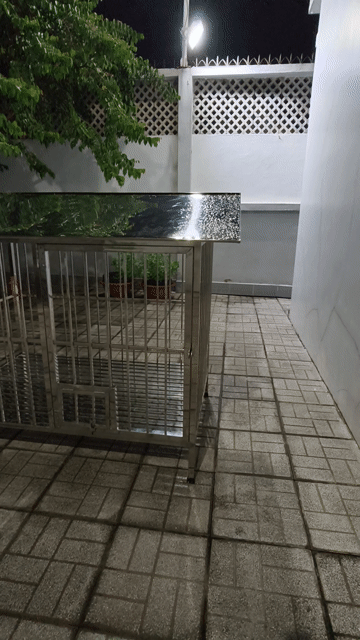 Chuồng thú cưng Inox 304 1m6x1m4x1m1 Bạc. Mua bán Phụ kiện, Thức ăn, Dịch vụ tại Thị xã Bến Cát Bình Dương được đăng bởi duy hình 1