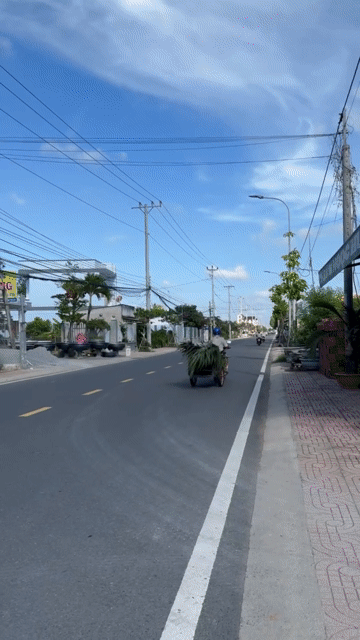 Mua bán Đất Thị xã Gò Công Tiền Giang diện tích 1365 m² giá 14,333 tỷ