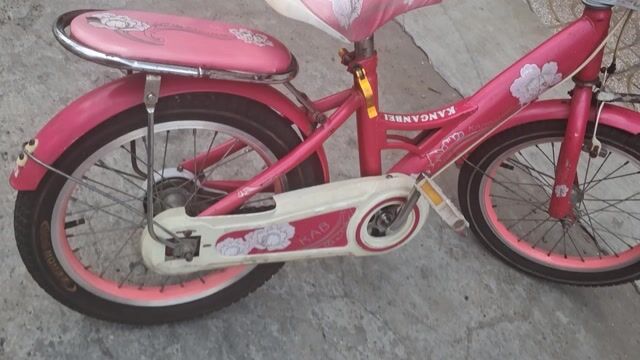 Xe đạp trẻ em Kanganbei Hồng. Mua bán Xe đạp tại Quận Tân Phú Tp Hồ Chí Minh được đăng bởi Cao Duy Thắng hình 1