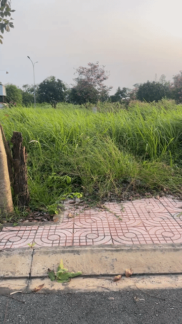 Mua bán Đất KĐT Làng Sen Việt Nam Huyện Đức Hòa Long An diện tích 78.5 m² giá 1,3 tỷ