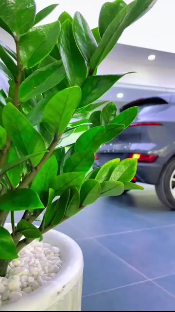 VINFAST VF5 TRẢ TRƯỚC 0Đ, TẶNG FULL PHỤ KIỆN. Mua bán Ô tô tại Thành phố Thủ Đức Tp Hồ Chí Minh được đăng bởi VINFAST MIỀN NAM hình 1