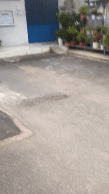 Mua bán Nhà ở Quận Gò Vấp Tp Hồ Chí Minh diện tích 43 m² giá 6,6 tỷ