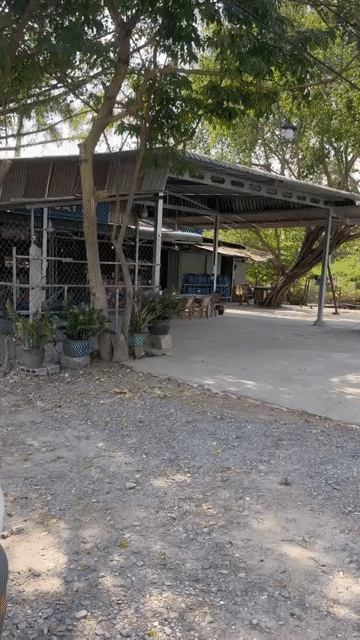 Mua bán Đất Huyện Đức Hòa Long An diện tích 2000 m² giá 12,5 tỷ