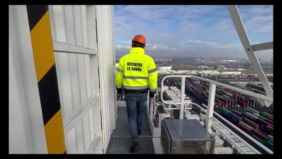 Les Dockers- Le Havre