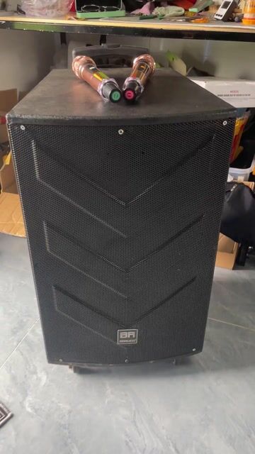 Loa kéo BORUCO bass 40. Mua bán Tivi, Âm thanh tại Quận Bình Thuỷ Cần Thơ được đăng bởi công thành hình 1