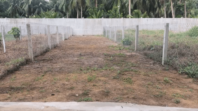 Mua bán Đất Huyện Chợ Gạo Tiền Giang diện tích 120 m² giá 310 triệu