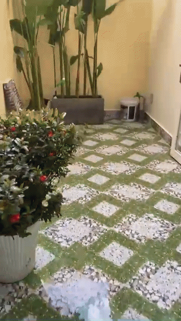 Cho thuê Nhà ở Quận Ngũ Hành Sơn Đà Nẵng diện tích 50 m² giá 11 triệu/tháng