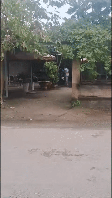 Cho thuê Nhà ở Huyện Bình Chánh Tp Hồ Chí Minh diện tích 135 m² giá 5,5 triệu/tháng
