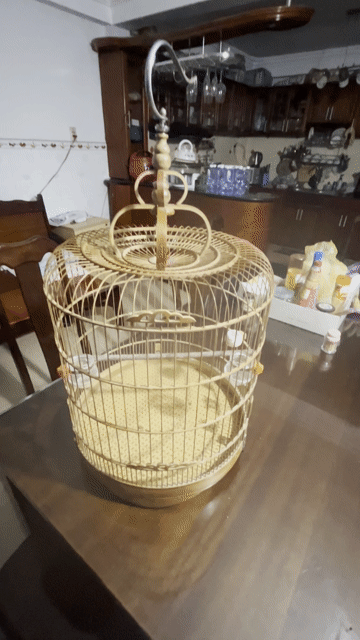 Lồng chim tre 68 nan Nâu đã sử dụng. Mua bán Phụ kiện, Thức ăn, Dịch vụ tại Quận Bình Thạnh Tp Hồ Chí Minh được đăng bởi Mỹ BT hình 1