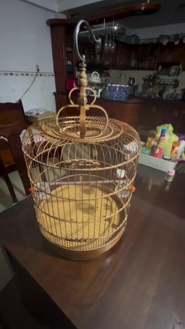 Lồng chim tre 68 nan Nâu đã sử dụng. Mua bán Phụ kiện, Thức ăn, Dịch vụ tại Quận Bình Thạnh Tp Hồ Chí Minh được đăng bởi Mỹ BT hình 1