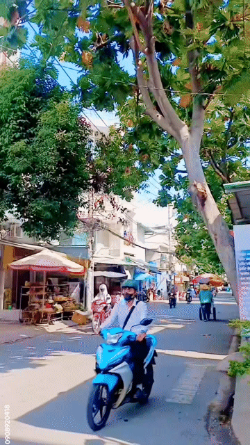 Mua bán Nhà ở Quận Tân Phú Tp Hồ Chí Minh diện tích 98 m² giá 10,5 tỷ