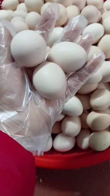 Trứng gà Ba Vì 100 quả miễn phí ship. Mua bán Đồ ăn, thực phẩm và các loại khác tại Quận Hà Đông Hà Nội được đăng bởi Tổng kho gia dụng Ánh Tuyết hình 1