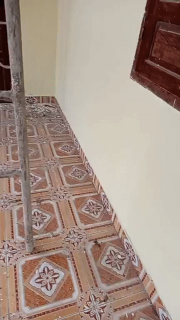 Mua bán Nhà ở Huyện Gò Công Đông Tiền Giang diện tích 585 m² giá 4,5 tỷ
