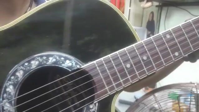 Đàn ghita xịn Hàn có EQ.. Mua bán Nhạc cụ tại Quận Ba Đình Hà Nội được đăng bởi Tiến hình 1