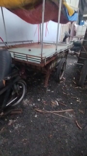 Xe ba gác chở rau củ. Mua bán Phương tiện khác tại Huyện Bình Chánh Tp Hồ Chí Minh được đăng bởi Thành đạt Nguyễn thái hình 1