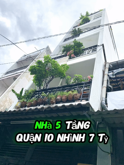Mua bán Nhà ở Quận 10 Tp Hồ Chí Minh diện tích 30 m² giá 7,5 tỷ