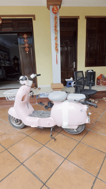 Xe máy điện Momo Hồng. Mua bán Xe máy tại Quận Hoàng Mai Hà Nội được đăng bởi Gia Linh hình 1