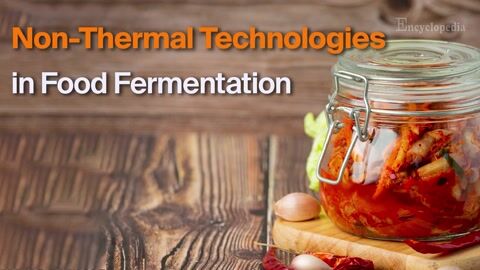 Encyclopedia-Non-Thermal Technologies in Food Fermentation