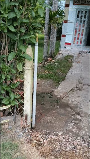 Mua bán Đất Huyện Đức Hòa Long An diện tích 922 m² giá 4,7 tỷ