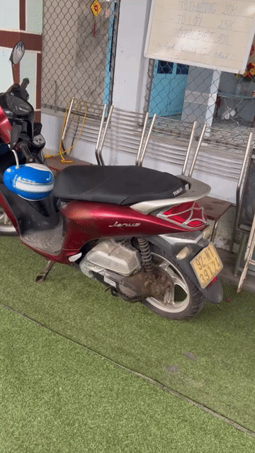 Yamaha Janus 2017 Đỏ. Mua bán Xe máy tại Thành phố Tam Kỳ Quảng Nam được đăng bởi Hoàng Thiên hình 1