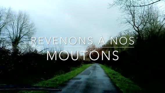 Revenons à nos moutons