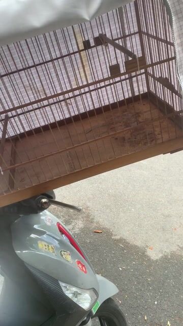 Thanh lý. Mua bán Phụ kiện, Thức ăn, Dịch vụ tại Quận Tân Phú Tp Hồ Chí Minh được đăng bởi Góc giao lưu hình 1