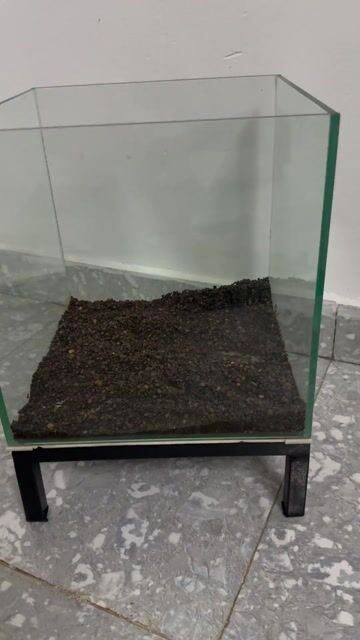 Hồ cá bẻ cá Cubic 30cm kèm chân đế (có mẻ xíu xiu). Mua bán Phụ kiện, Thức ăn, Dịch vụ tại Quận Bình Tân Tp Hồ Chí Minh được đăng bởi phụng nhi hình 1