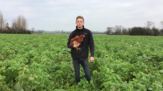 Le vrai visage de l'agriculture