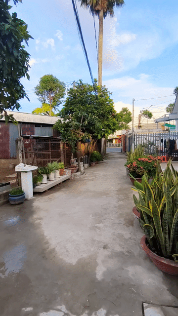 Mua bán Nhà ở Thành phố Sóc Trăng Sóc Trăng diện tích 145 m² giá 1,75 tỷ