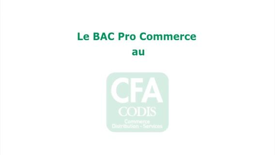 Le BAC Pro Commerce