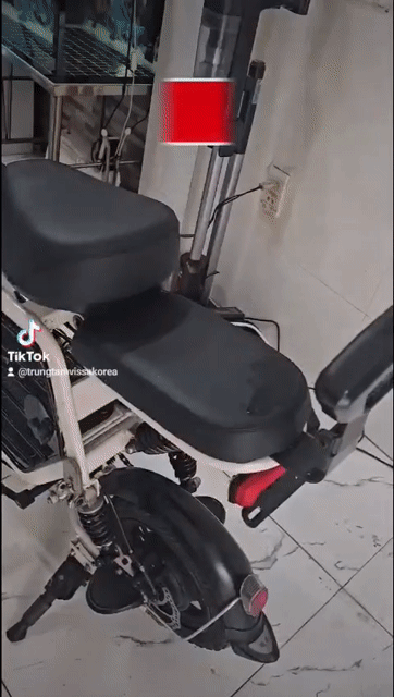Xe đạp điện Burke Trắng Còn mới. Mua bán Xe đạp tại Quận Tân Bình Tp Hồ Chí Minh được đăng bởi Trương Bảo hình 1