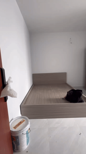 Cho thuê Phòng trọ Quận 8 Tp Hồ Chí Minh diện tích 20 m² giá 4,5 triệu/tháng