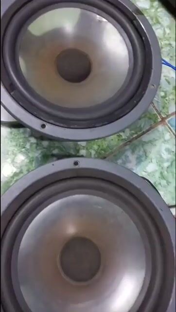 Loa bass Châu Âu 23cm Đen. Mua bán Tivi, Âm thanh tại Quận Bình Tân Tp Hồ Chí Minh được đăng bởi lyly hình 1