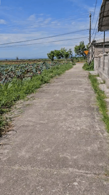 Mua bán Đất Huyện Phong Điền Thừa Thiên Huế diện tích 532 m² giá 2,1 tỷ