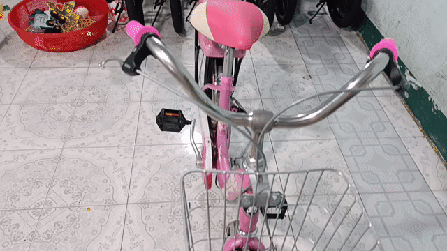 Xe đạp mini Action Nữ 20 inch. Mua bán Xe đạp tại Thành phố Biên Hòa Đồng Nai được đăng bởi Minh Anh hình 1