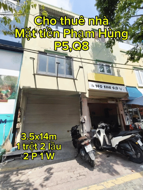 Cho thuê Nhà ở Quận 8 Tp Hồ Chí Minh diện tích 12.5 m² giá 15 triệu/tháng