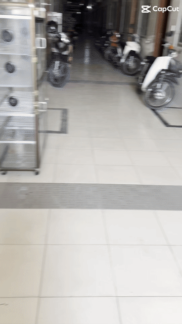 Cho thuê Phòng trọ Thành phố Dĩ An Bình Dương diện tích 25 m² giá 2 triệu/tháng
