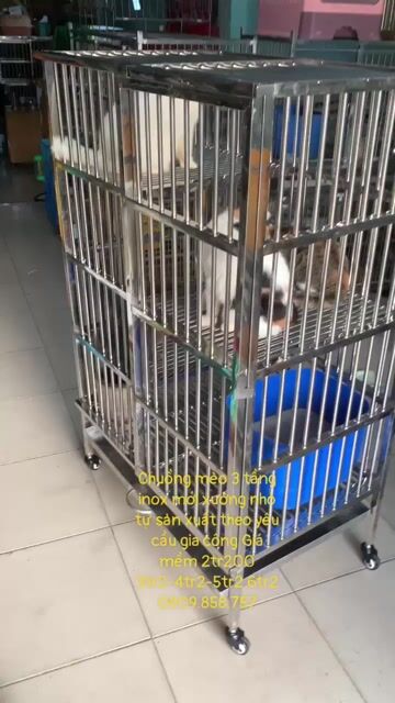 Thanh lý chuồng inox ❤️💙 chó mèo 💚💛 mới củ🍏🍎. Mua bán Phụ kiện, Thức ăn, Dịch vụ tại Quận 8 Tp Hồ Chí Minh được đăng bởi Cửa Hàng Thanh Lý Đồ Cũ Mới hình 1