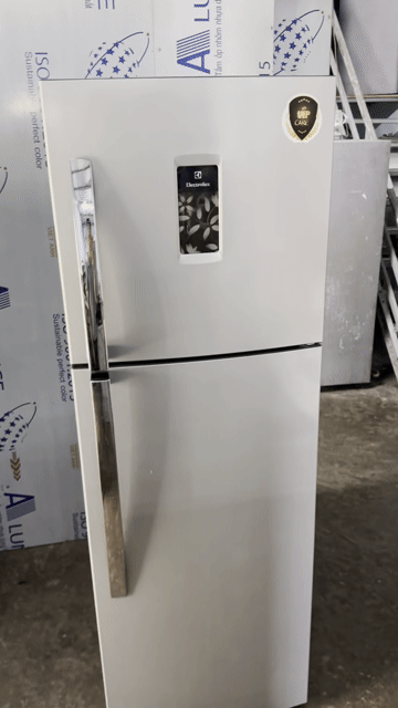Tủ lạnh Electrolux 250 lít 2 cửa Bạc. Mua bán Tủ lạnh tại Huyện An Dương Hải Phòng được đăng bởi Phát Thanh Lý  hình 1