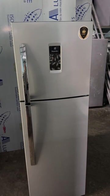 Tủ lạnh Electrolux 250 lít 2 cửa Bạc. Mua bán Tủ lạnh tại Huyện An Dương Hải Phòng được đăng bởi Phát Thanh Lý  hình 1