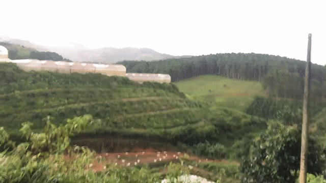 Mua bán Đất Thành phố Đà Lạt Lâm Đồng diện tích 1330 m² giá 2,65 tỷ