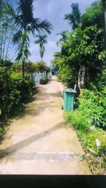 Mua bán Nhà ở Thành phố Long Xuyên An Giang diện tích 302.7998 m² giá 2,3 tỷ