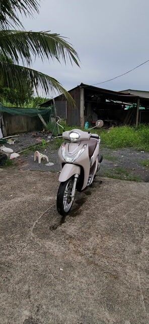 Sh mode 2021 1 chủ mua mới. Mua bán Xe máy tại Huyện Nhơn Trạch Đồng Nai được đăng bởi như quỳnh  hình 1