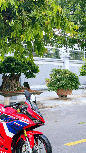 Honda CBR150R HRC 600km Đỏ. Mua bán Xe máy tại Quận Thanh Khê Đà Nẵng được đăng bởi Ku Tý hình 1